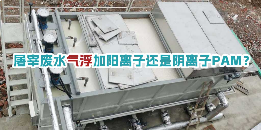 屠宰廢水氣浮加陽離子還是陰離子PAM？