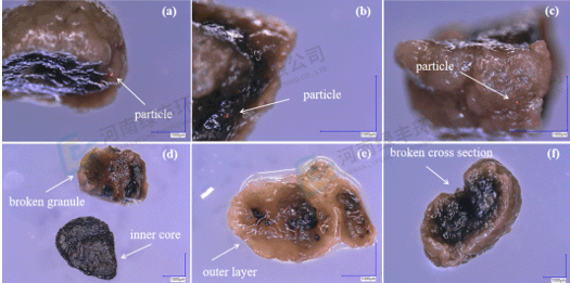 從微觀發(fā)現(xiàn)到環(huán)保價(jià)值：好氧顆粒污泥吸附機(jī)制研究的突破