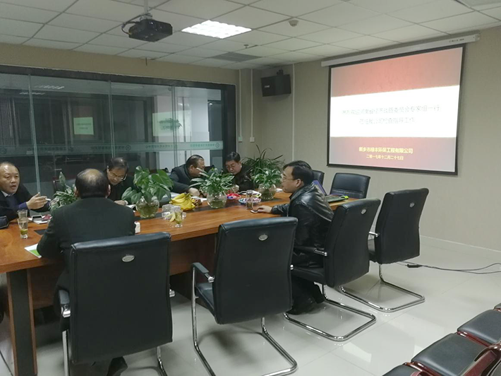 戰略委員會專家蒞臨指導工作